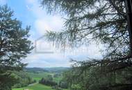 **Im Grünen** TOP – Mietwohnung in Zweifamilienhaus in sehr lockerer Streusiedlung