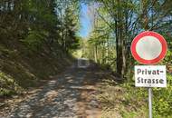 EINZELLAGE IM GRÜNEN MIT HERRLICHEM PANORAMA UND 2 GROSSEN NEBENGEBÄUDEN