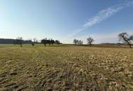 Vierkanter in guter Lage