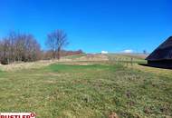 Zwei vielseitige Grundstücke in Blumenthal – Wohnen &amp; Natur auf über 8.300 m²