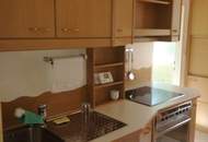 Wenn Sie die Natur vor dem Fenster möchten und trotzdem nicht auf alle Annehmlichkeiten einer Stadt verzichten wollen, sind Sie hier genau richtig!!