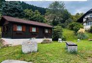 Idyllisches Grundstück in traumhafter Grünlage am Pöstlingberg mit anschließender Kaufoption!