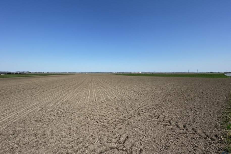 Landwirtschaftliche Flächen zu verkaufen, Grund und Boden-kauf, 93.300,€, 3474 Tulln