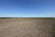 Landwirtschaftliche Flächen zu verkaufen