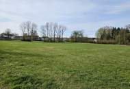 Baugründe im Neubaugebiet!