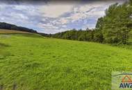 Grundstück in Feldbach!