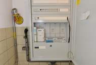 MÖRBISCH AM SEE – WOHNEN, WO ANDERE URLAUB MACHEN EINFAMILIENHAUS MIT SEEBLICK IN