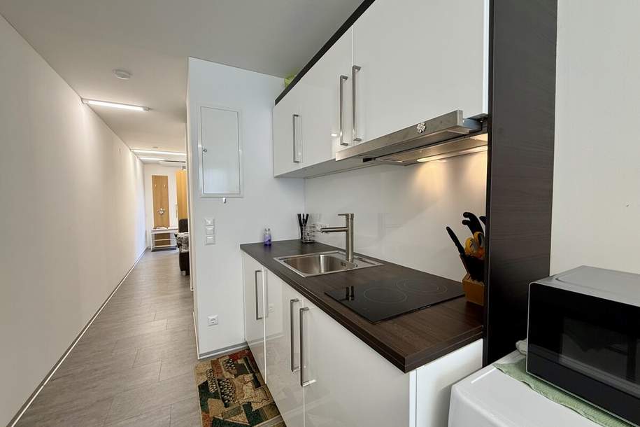 Wohnapartment mit Terrasse und Garten, Wohnung-miete, 448,00,€, 2630 Neunkirchen