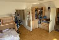 Wohnung in attraktiver Lage nahe alter Donau