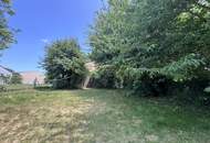 Grundstück mit Altbestand