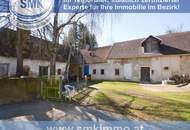 Zum Ausbau freigegeben: altes Bauernhaus + riesiges Grundstück!
