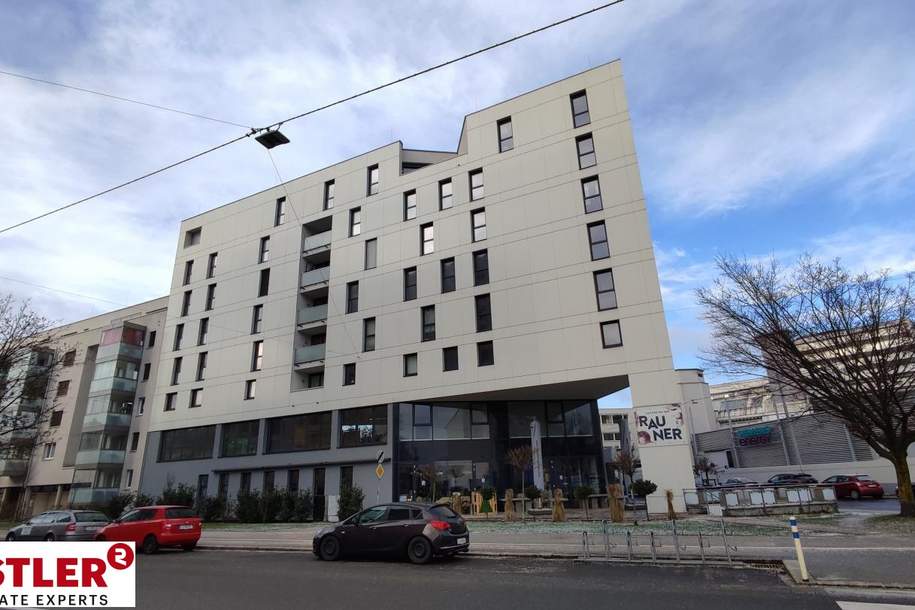 Modern, gut gelegen und viel Platz, Wohnung-miete, 1.276,00,€, 4020 Linz(Stadt)