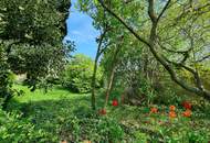 Einfamilienhaus mit Wintergarten in schöner Siedlungslage