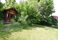 Exklusive Rarität - Villa mit traumhaftem Garten und Ordination in Zwettl