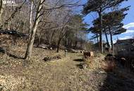 Neuwaldegg - charmant und außergewöhnlich - DG-Wohnung mit Sonnenterrasse und Balkon