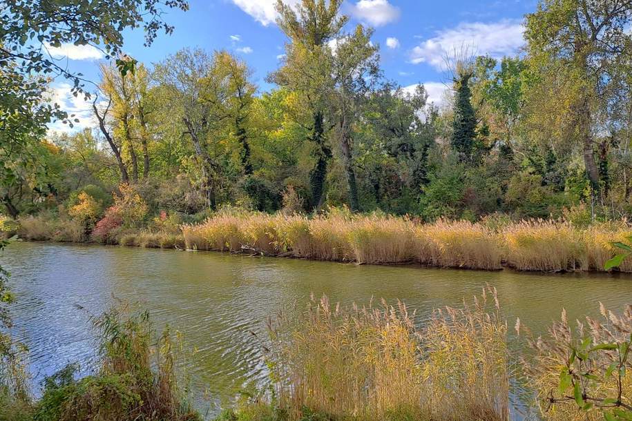 IDYLLISCHE LAGE NAHE "SCHILLERWASSER" BZW. "MÜHLWASSER", Wohnung-miete, 1.198,00,€, 1220 Wien 22., Donaustadt