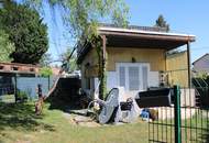 "Erste Reihe Alte Donau''