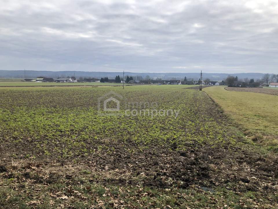 Schöner Baugrund unweit von Jennersdorf