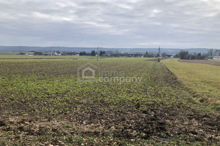 Schöner Baugrund unweit von Jennersdorf, Grund und Boden-kauf, 47.500,€, 8380 Jennersdorf