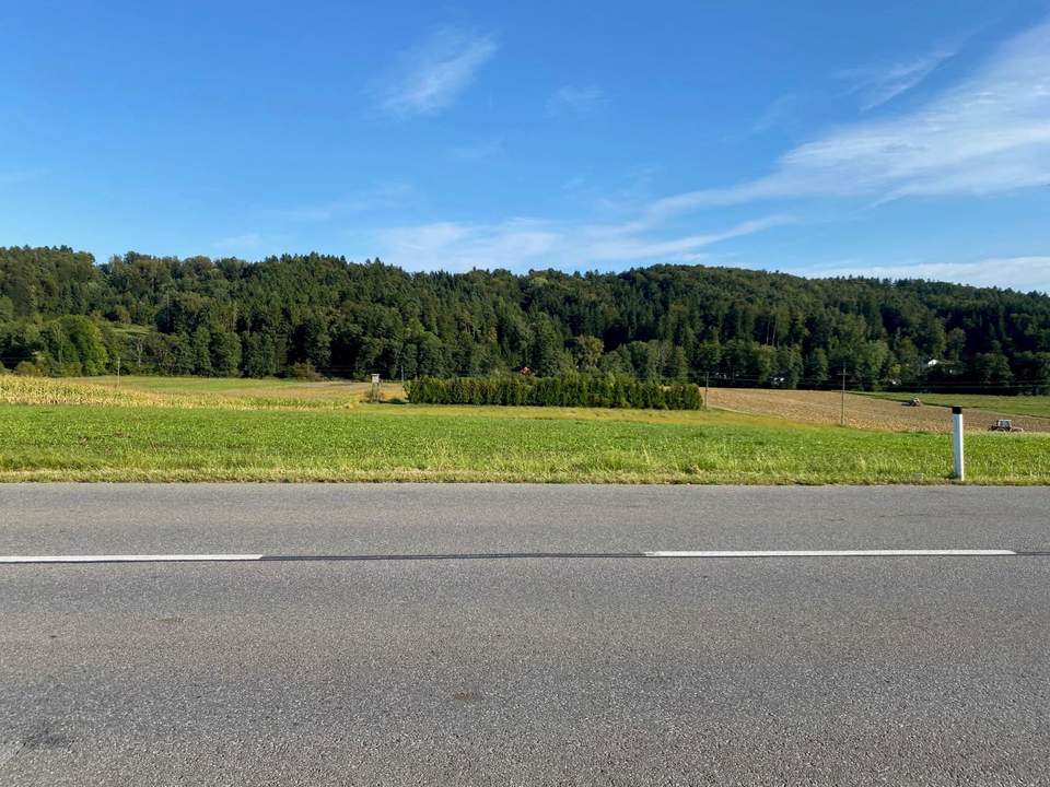 Gewerbegrundstück und Freiland in gefragter Lage nahe Graz