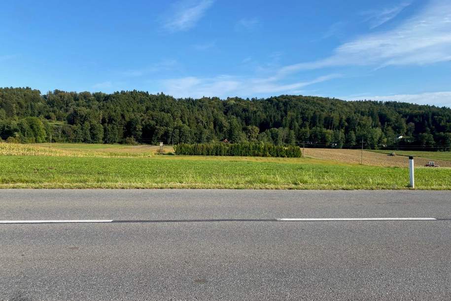 Gewerbegrundstück und Freiland in gefragter Lage nahe Graz, Grund und Boden-kauf, 8076 Graz-Umgebung