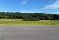 Gewerbegrundstück und Freiland in gefragter Lage nahe Graz