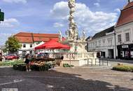 Top ausgestattetes Büro mit viel Platz, nahe dem Mödlinger Stadtzentrum