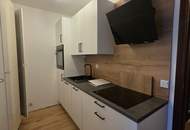 Modern sanierte Garçonnière mit schöner Aussicht auf Traunstein und Traunsee