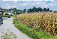Traumhaftes Baugrundstück in Perg – 1040m² für Ihr neues Zuhause!