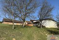 Naturparadies: großzügiges Anwesen in sonniger Ruhelage nahe Paldau!