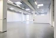 Lagerhalle 860 m2 + Büro 340 m2 Kombination südlich von Wien in Wr. Neudorf
