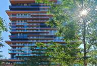 Grünblick beim Stadion