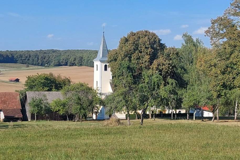 Deutsch Schützen Eisenberg: Einfamilienhaus mit großem Garten, Wirtschaftsgebäuden und Stadel !!, Haus-kauf, 150.000,€, 7474 Oberwart