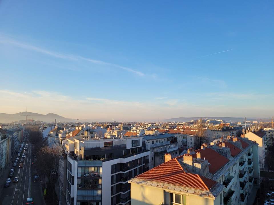 Dachgeschosswohnung mit Fernblick nahe Alter Donau