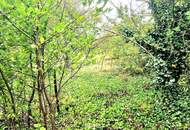 BAUGRUND in den Golser Weinbergen