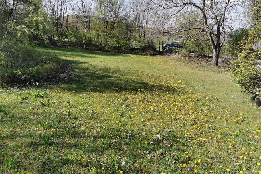 "Seltener Baugrund", Grund und Boden-kauf, 329.900,€, 3004 Tulln