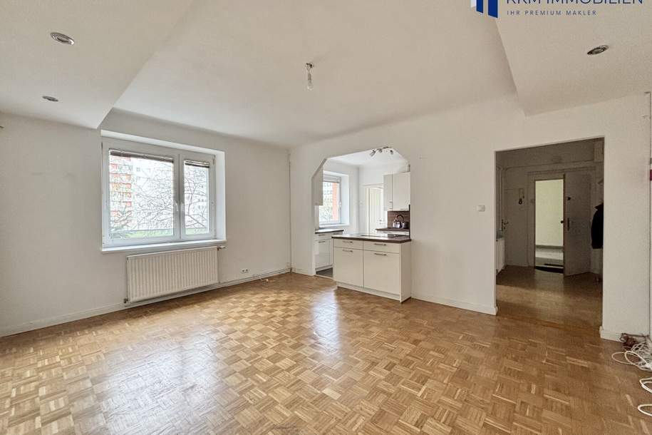 Helle 3-Zimmer-Wohnung mit Balkon in Ruhelage, Wohnung-kauf, 334.000,€, 1200 Wien 20., Brigittenau