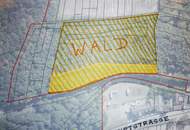 Weinkeller mit riesen Waldgrundstück Nähe A5!