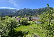 Sonniges Einfamilienhaus mit idyllischem Garten in der Drausiedlung in Spittal