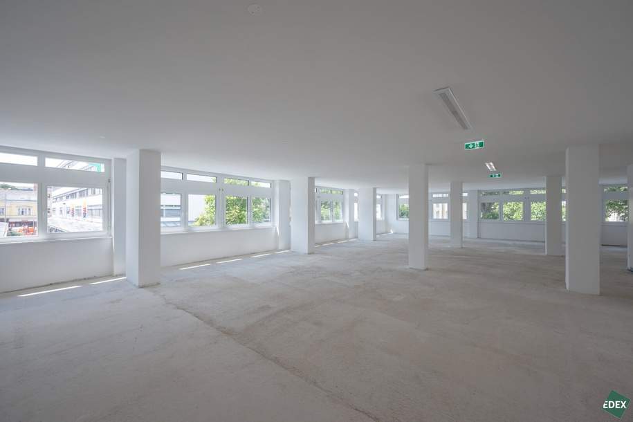 Erstbezug: Moderne Bürofläche in Hietzinger Bestlage, Gewerbeobjekt-miete, 14.442,14,€, 1130 Wien 13., Hietzing