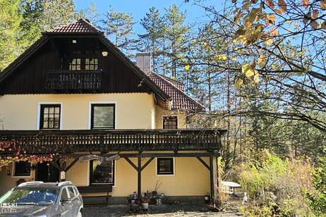 Das Haus im Wald, Haus-kauf, 295.000,€, 2763 Wiener Neustadt(Land)