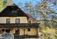 Das Haus im Wald