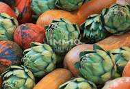 2 Zimmer mit Balkon - Nähe Park und U3