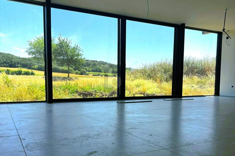 PANNONISCHE EXKLUSIVITÄT IN GLAS - MIT POOL UND POOLHAUS, Haus-kauf, 1.250.000,€, 7064 Eisenstadt-Umgebung