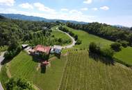 INVESTOREN aufgepasst! Weingut mit Gästezimmer, drei Betriebswohnungen in Leutschacher Aussichtslage PROVISIONSFREI