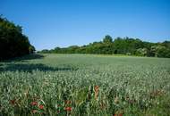 Neu errichtete DH-Hälfte mit sonnigem Garten-top Lage