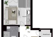 "Hahnbaumblick" - Ein-Zimmer-Wohnung in St. Johann im Pg.