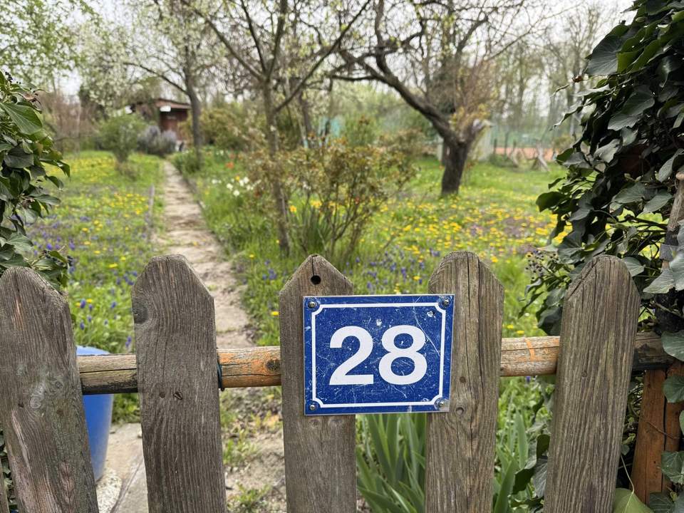 "Meine Kleingartenoase in Korneuburg"