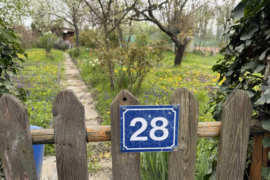 "Meine Kleingartenoase in Korneuburg", Grund und Boden-kauf, 75.000,€, 2100 Korneuburg