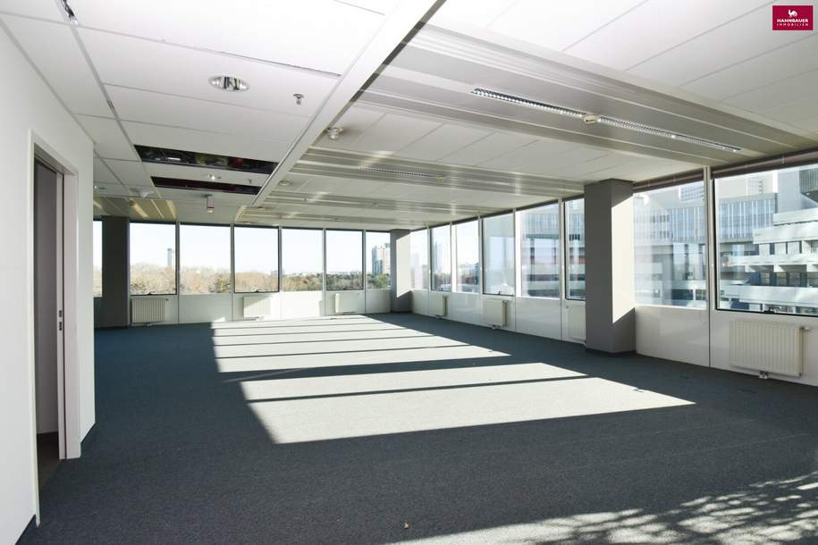 Moderne Bürofläche 350 m2 in 1220 Wien bei UNO City zu mieten, Gewerbeobjekt-miete, 6.597,00,€, 1220 Wien 22., Donaustadt